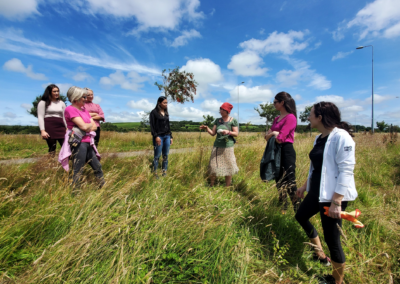 Tree Planting and Maintenance