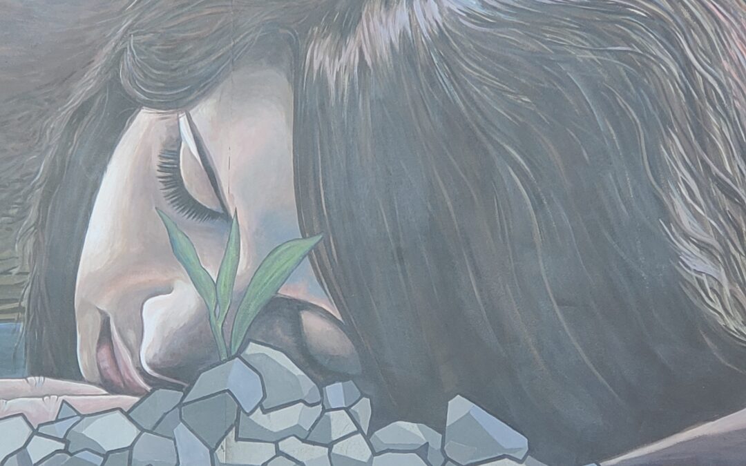 Tralee Tidy Towns Mural Project